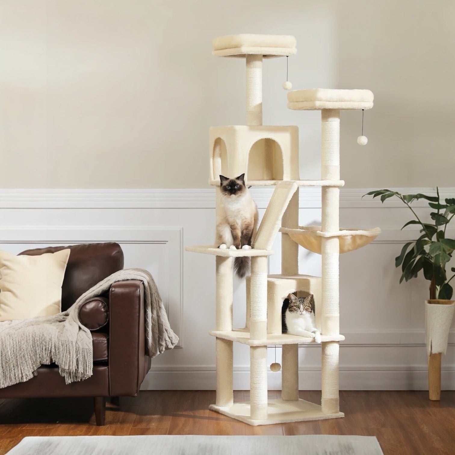 Arbre à Chat Aila'Tower – L’Empire du Jeu et du Confort