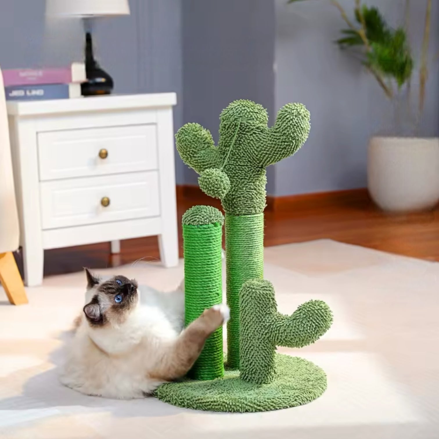 Griffoir Cactus