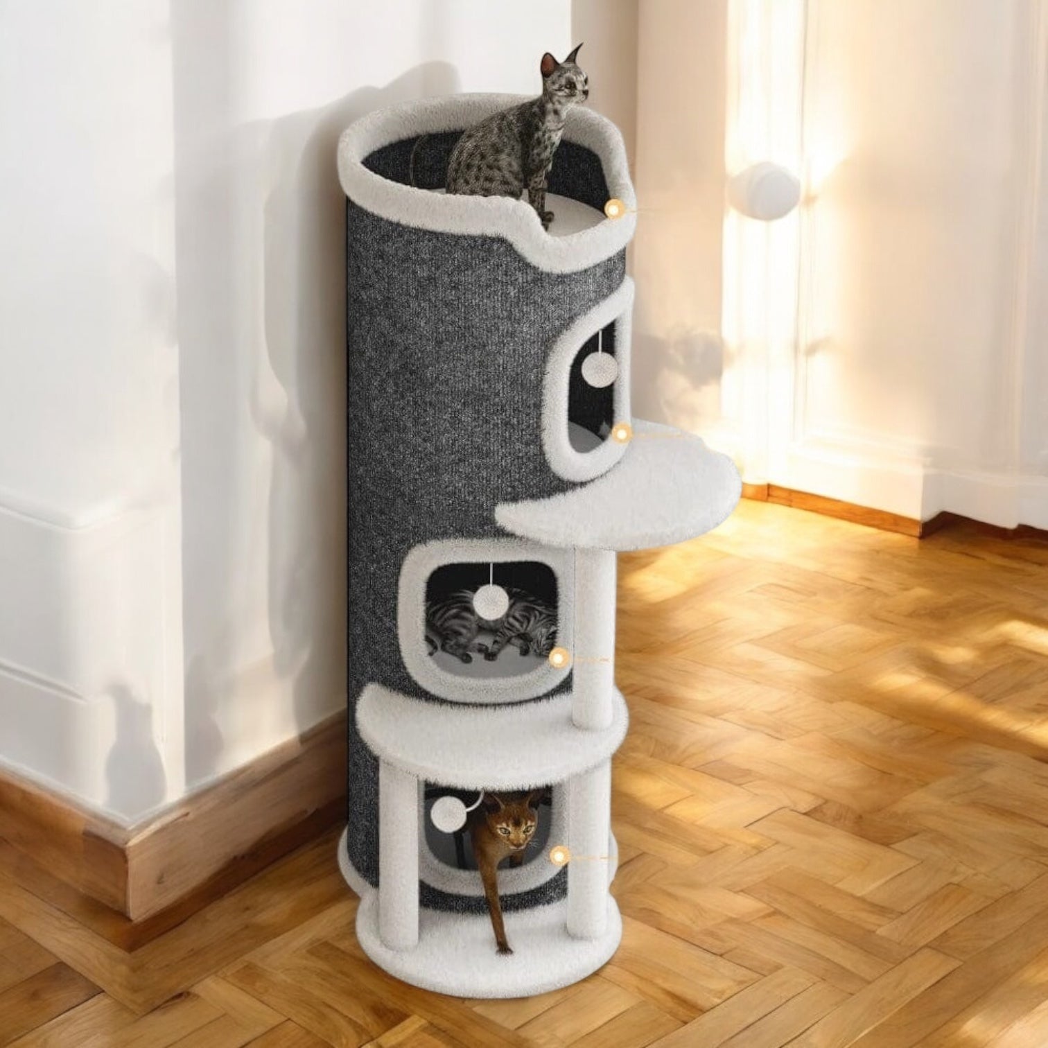 Tour à Chat Milo – Le Refuge Cosy