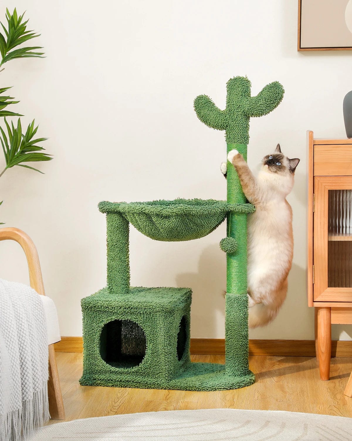 Arbre a Chat Cactus