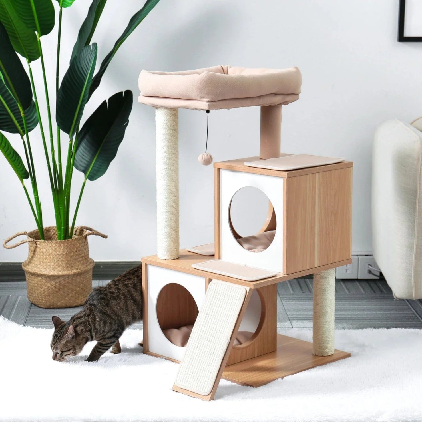 Arbre à Chat Miaou’Lodge – Un Refuge Confortable