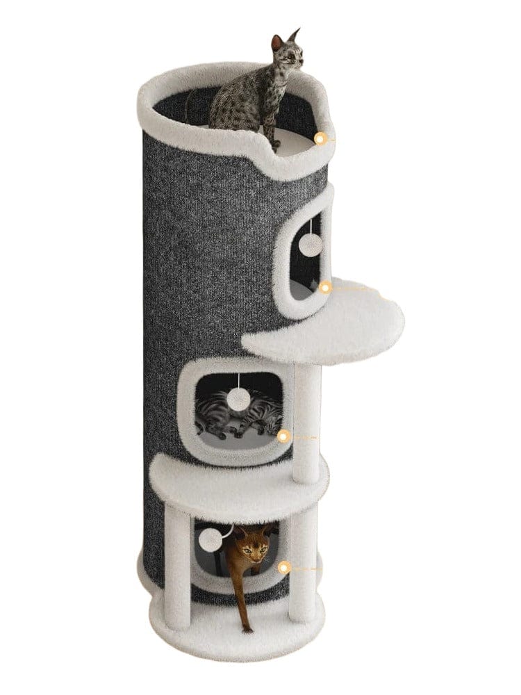 Tour à Chat Milo – Le Refuge Cosy