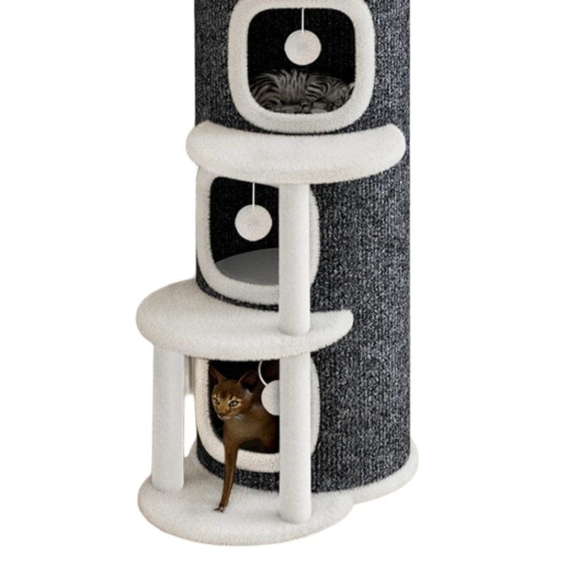 Tour à Chat Milo – Le Refuge Cosy