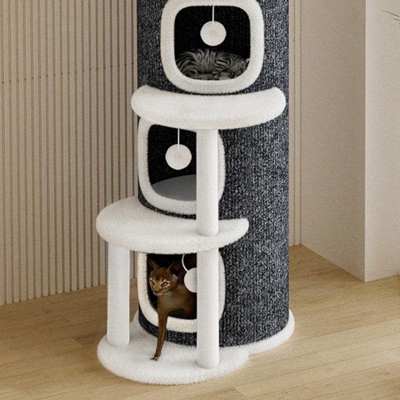 Tour à Chat Milo – Le Refuge Cosy